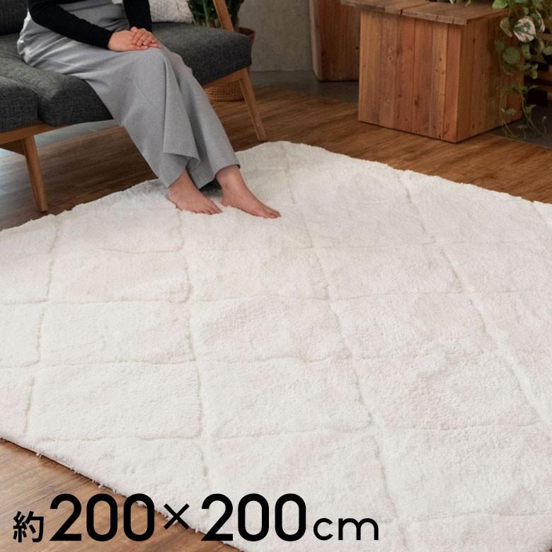 ラグ ラグマット 約 200 × cm ノンスリップ 加工 凹凸 3D 立体ラグ