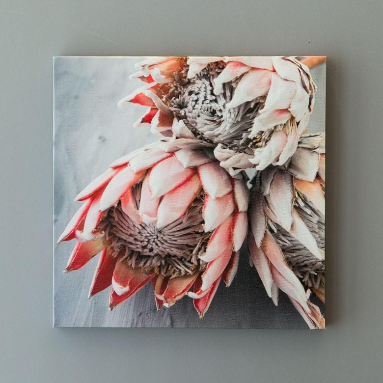 アートパネル プロテア 花 フラワー 植物 写真 アートフレーム ウォールデコレーション 額 ボタニカルアート 約30cm 30cm 壁掛け インテリア おしゃれ