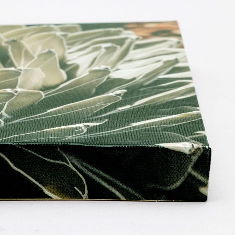 アートパネル アガベ 花 フラワー 植物 写真 アートフレーム ウォールデコレーション 額 ボタニカルアート 約30cm×30cm 壁掛け インテリア おしゃれ 66942 | ブランド登録なし | 10