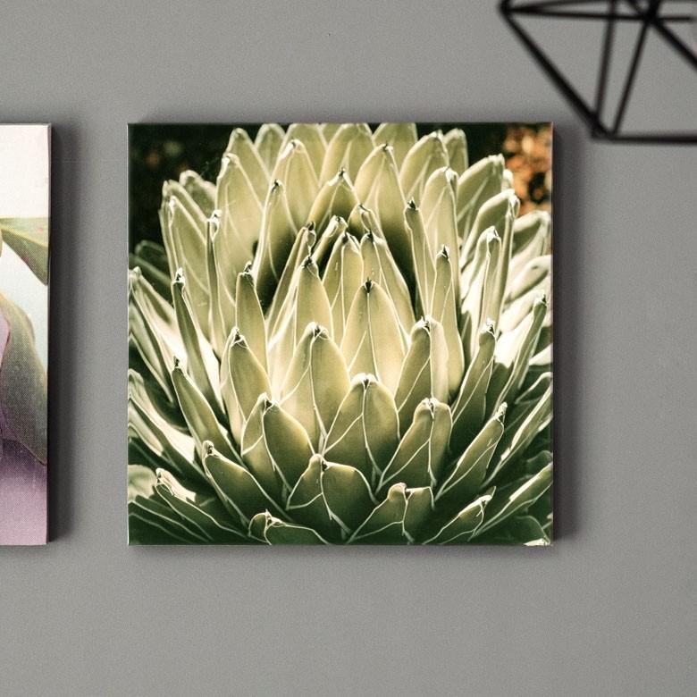 植物絵画　額入り アートパネル アガベ 花 フラワー 植物 写真 アートフレーム