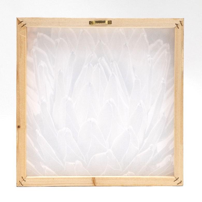 アートパネル アガベ 花 フラワー 植物 写真 アートフレーム ウォールデコレーション 額 ボタニカルアート 約30cm×30cm 壁掛け インテリア おしゃれ 66942 | ブランド登録なし | 06