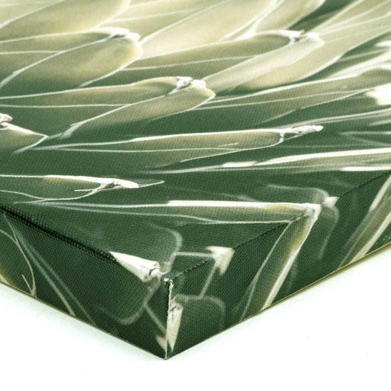 アートパネル アガベ 花 フラワー 植物 写真 アートフレーム ウォールデコレーション 額 ボタニカルアート 約30cm×30cm 壁掛け インテリア おしゃれ 66942 | ブランド登録なし | 08