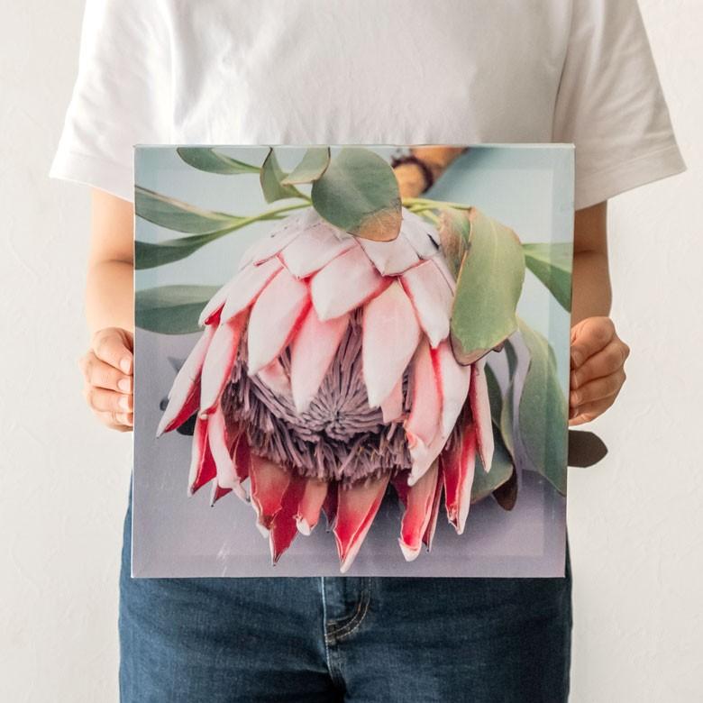 98 以上節約 アートパネル プロテア 花 フラワー 植物 写真 アートフレーム ウォールデコレーション 額 ボタニカルアート 約30cm 30cm 壁掛け インテリア おしゃれ Supplystudies Com