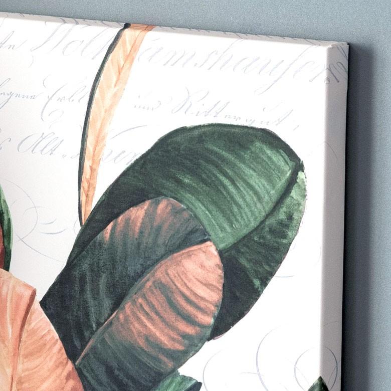 アートパネル リーフ ゴムの木 キャンパス 幅40cm 高さ50cm 正方形 グリーン ボタニカル 壁掛け インテリア おしゃれ 北欧 南国 ウォールデコレーション 66974 | ELEMENTS（インテリア） | 01