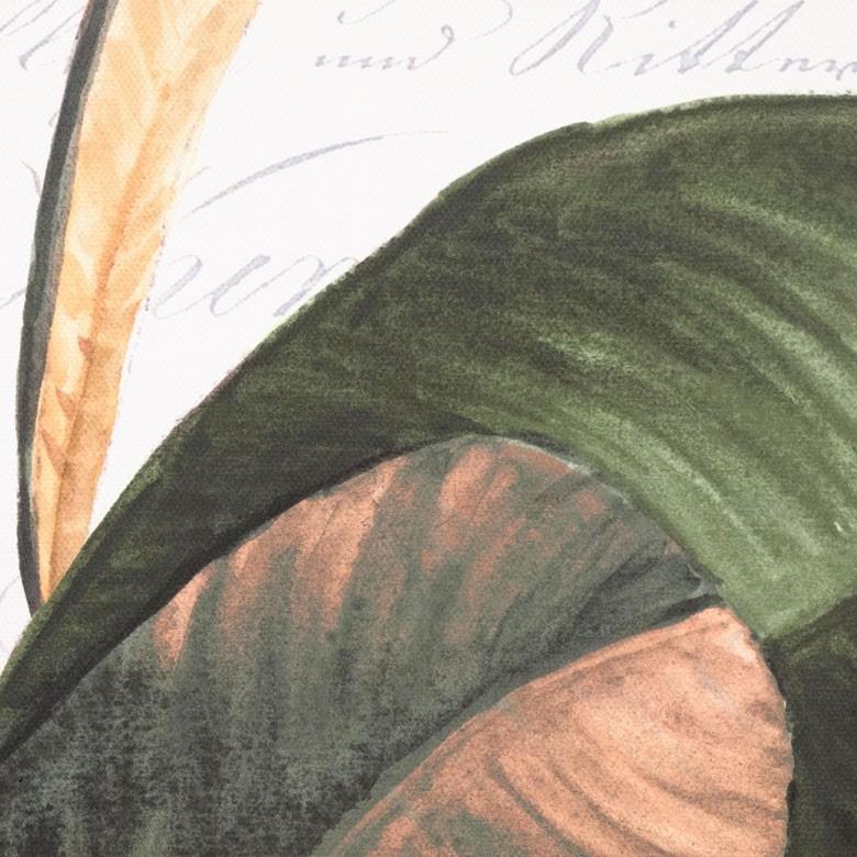 アートパネル リーフ ゴムの木 キャンパス 幅40cm 高さ50cm 正方形 グリーン ボタニカル 壁掛け インテリア おしゃれ 北欧 南国 ウォールデコレーション 66974 | ELEMENTS（インテリア） | 05