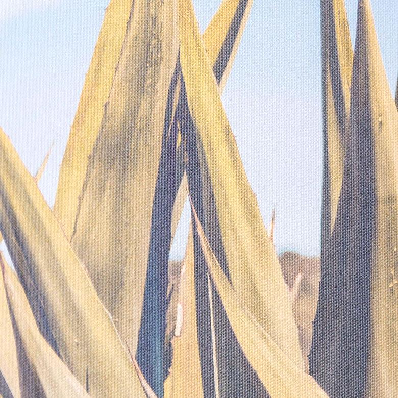 アートフレーム アートパネル アメリカ メキシコ W 50cm D 70cm H 3.5cm アート キャンバス セット アートポスター グラフィック ピクチャー 写真 66995 | ブランド登録なし | 01