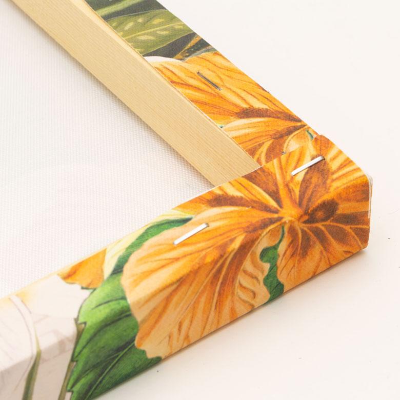 アートフレーム アートパネル トロピカル アニマル 南国 W 50cm D 50cm H 2.7cm アート キャンバス セット アートポスター 絵画 ピクチャー 壁掛け 67004 | ブランド登録なし | 12