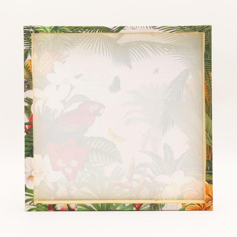 アートフレーム アートパネル トロピカル アニマル 南国 W 50cm D 50cm H 2.7cm アート キャンバス セット アートポスター 絵画 ピクチャー 壁掛け 67004 | ブランド登録なし | 11