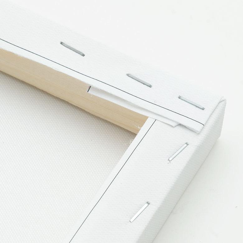 アートパネル ラインアート サボテン 多肉 キャンパス パネル 約 W 40cm D 50cm H 2.7cm 抽象的 植物 アート キャンパスアート ファブリック調 絵画 67024 | ブランド登録なし | 10