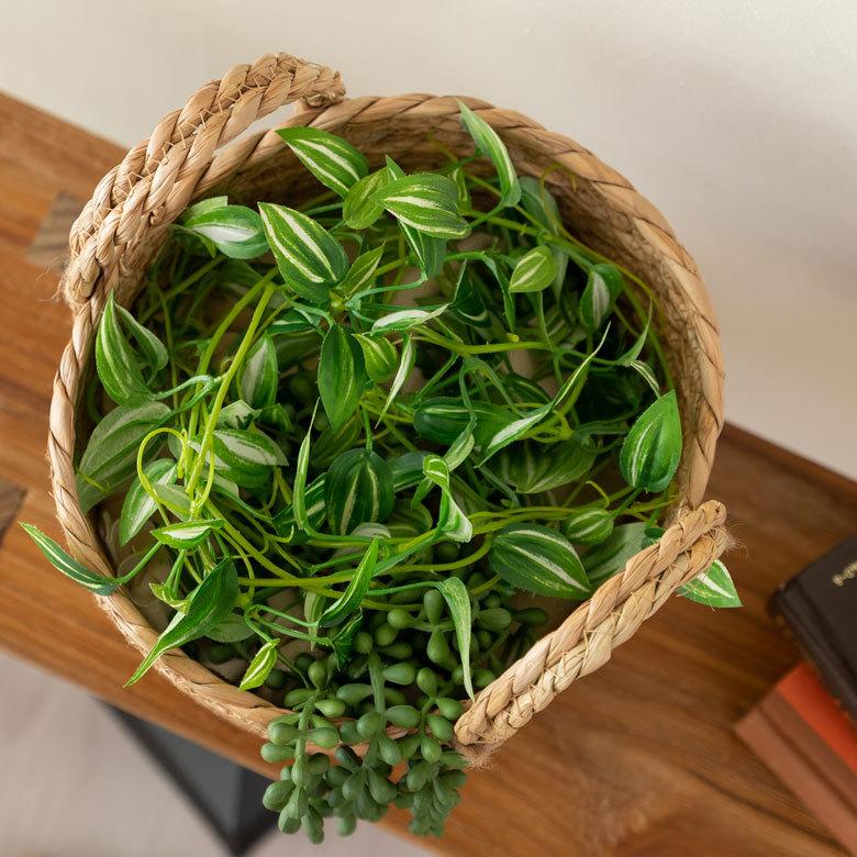 プランター カバー 植木 鉢 バスケット 持ち手付 い草 Sサイズ  [67084]【 5号 6.5号 入れ カバー ポット かご 観葉植物 北欧 おしゃれ  西海岸 インテリア 】 | ブランド登録なし | 09