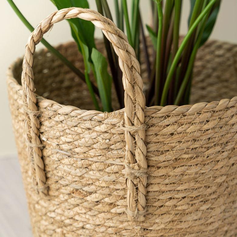 プランター カバー 植木 鉢 バスケット 持ち手付 い草 Lサイズ  [67086]【 8号 9号 入れ カバー ポット かご 観葉植物 北欧 おしゃれ  西海岸 インテリア 】 | ブランド登録なし | 02