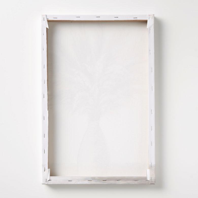 アートパネル パンパスグラス ペールトーン パステル キャンバス ポスター インテリア 絵画 おしゃれ モダン 北欧 韓国 西海岸 67115 | ELEMENTS（インテリア） | 10