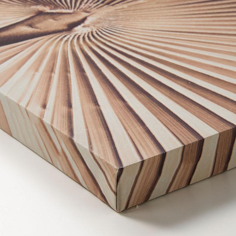 アート パネル ヤシ 葉 リーフ キャンパス 45×60 植物 絵画 壁掛け ボード ウォール デコレーション インテリア おしゃれ 北欧 リゾート 雑貨 西海岸風 67141 | ELEMENTS（インテリア） | 14