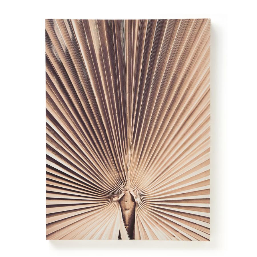 アート パネル ヤシ 葉 リーフ キャンパス 45×60 植物 絵画 壁掛け ボード ウォール デコレーション インテリア おしゃれ 北欧 リゾート 雑貨 西海岸風 67141 | ELEMENTS（インテリア） | 19