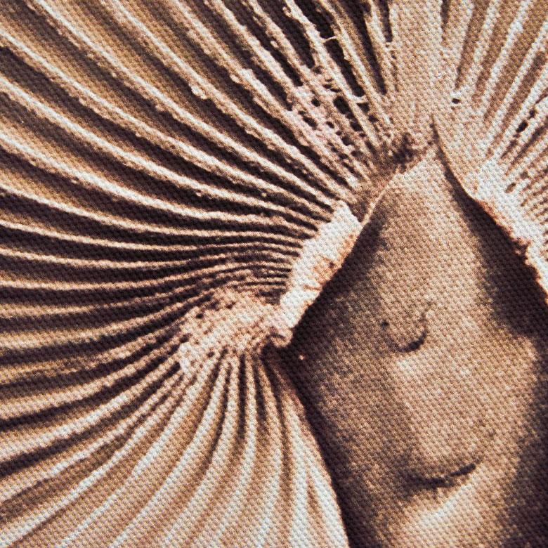 アート パネル ヤシ 葉 リーフ キャンパス 45×60 植物 絵画 壁掛け ボード ウォール デコレーション インテリア おしゃれ 北欧 リゾート 雑貨 西海岸風 67141 | ELEMENTS（インテリア） | 01