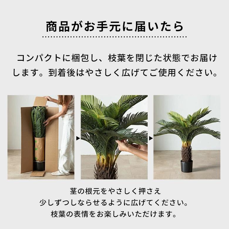 フェイクグリーン ソテツ 6号鉢 観葉植物 水やり不要 フェイク おしゃれ 卓上 小さめ  玄関 リビング 室内 屋外 人工植物 60cm 鉢付き インテリア リアル 67282 | ブランド登録なし | 09