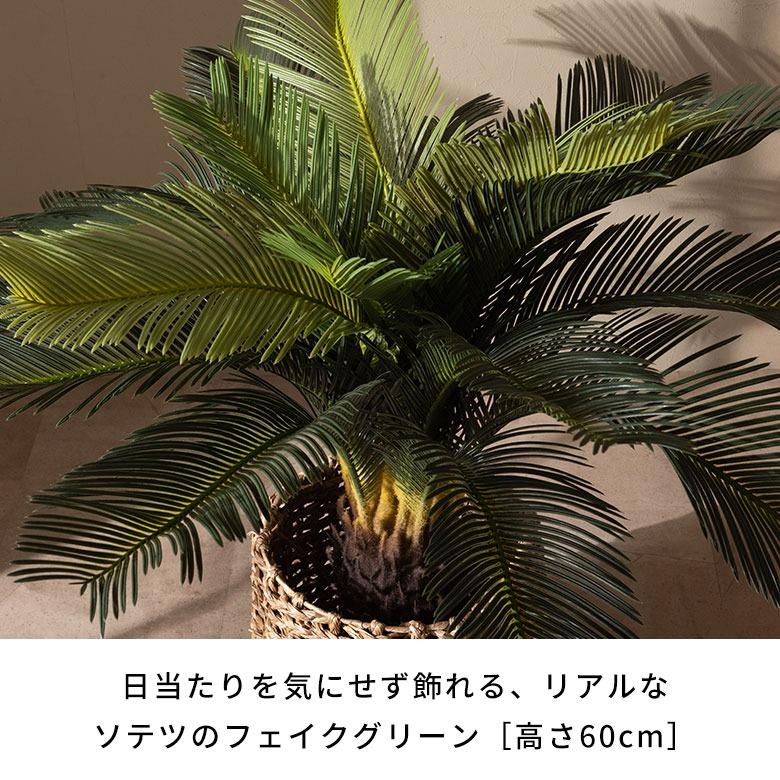 フェイクグリーン ソテツ 6号鉢 観葉植物 水やり不要 フェイク おしゃれ 卓上 小さめ  玄関 リビング 室内 屋外 人工植物 60cm 鉢付き インテリア リアル 67282 | ブランド登録なし | 01