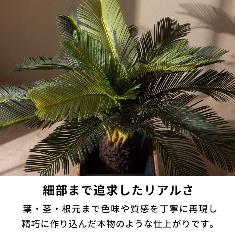 フェイクグリーン ソテツ 6号鉢 観葉植物 水やり不要 フェイク おしゃれ 卓上 小さめ  玄関 リビング 室内 屋外 人工植物 60cm 鉢付き インテリア リアル 67282 | ブランド登録なし | 03
