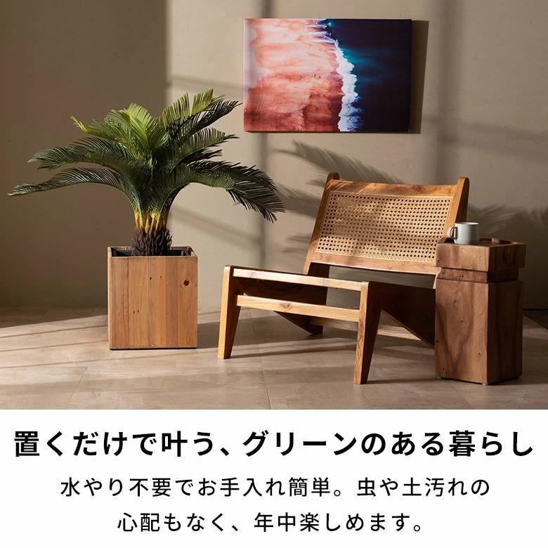 フェイクグリーン ソテツ 6号鉢 観葉植物 水やり不要 フェイク おしゃれ 卓上 小さめ  玄関 リビング 室内 屋外 人工植物 60cm 鉢付き インテリア リアル 67282 | ブランド登録なし | 05