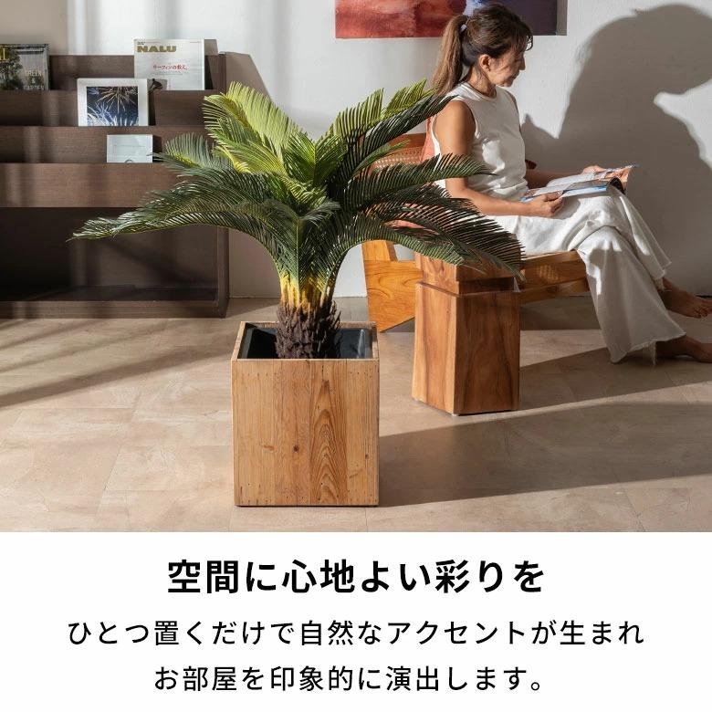 フェイクグリーン ソテツ 6号鉢 観葉植物 水やり不要 フェイク おしゃれ 卓上 小さめ  玄関 リビング 室内 屋外 人工植物 60cm 鉢付き インテリア リアル 67282 | ブランド登録なし | 06