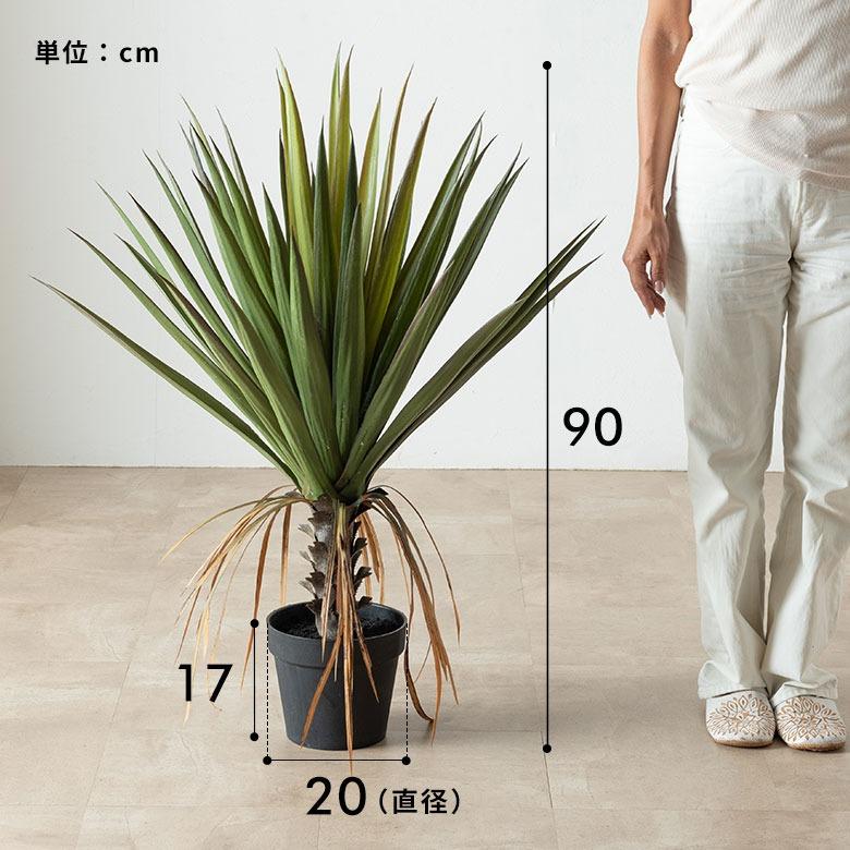 フェイクグリーン アガベ 7号鉢 観葉植物 水やり不要 フェイク おしゃれ 玄関 リビング 室内 屋外 人工植物 90cm 鉢付き インテリア リアル ハクセンコウ 67284 | ブランド登録なし | 15