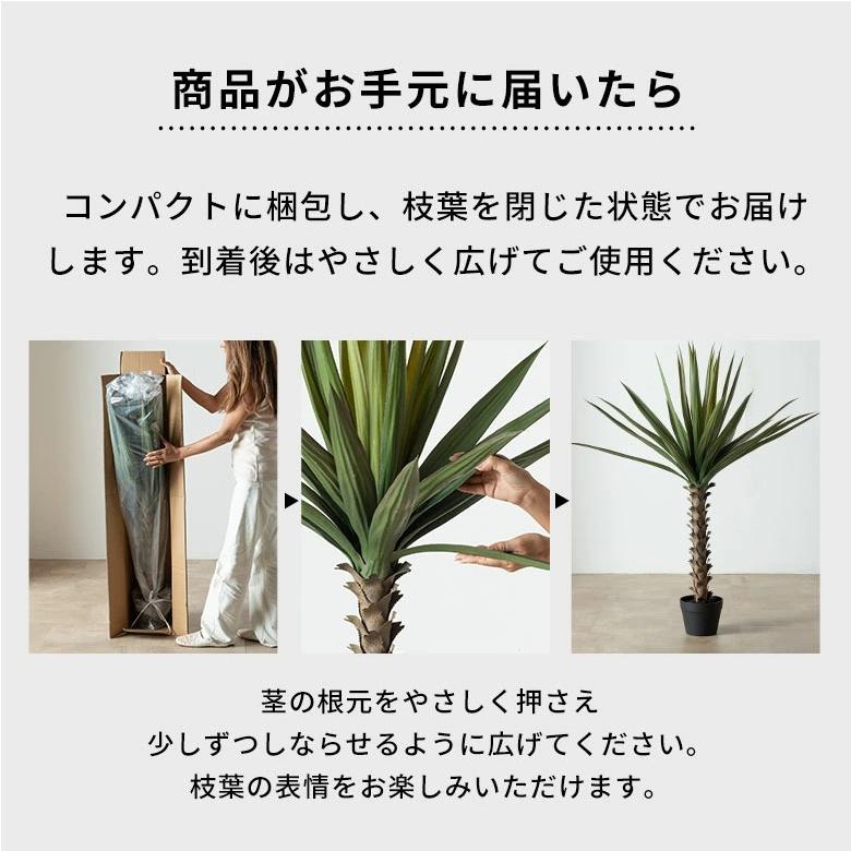 フェイクグリーン アガベ 6号鉢 観葉植物 水やり不要 フェイク おしゃれ 玄関 リビング 室内 屋外 人工植物 120cm 鉢付き インテリア リアル ハクセンコウ 67285 | ブランド登録なし | 09