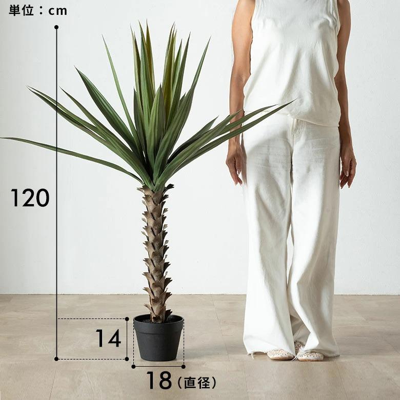 フェイクグリーン アガベ 6号鉢 観葉植物 水やり不要 フェイク おしゃれ 玄関 リビング 室内 屋外 人工植物 120cm 鉢付き インテリア リアル ハクセンコウ 67285 | ブランド登録なし | 14