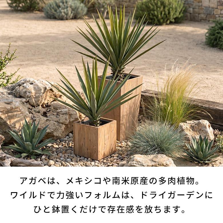 フェイクグリーン アガベ 6号鉢 観葉植物 水やり不要 フェイク おしゃれ 玄関 リビング 室内 屋外 人工植物 120cm 鉢付き インテリア リアル ハクセンコウ 67285 | ブランド登録なし | 02