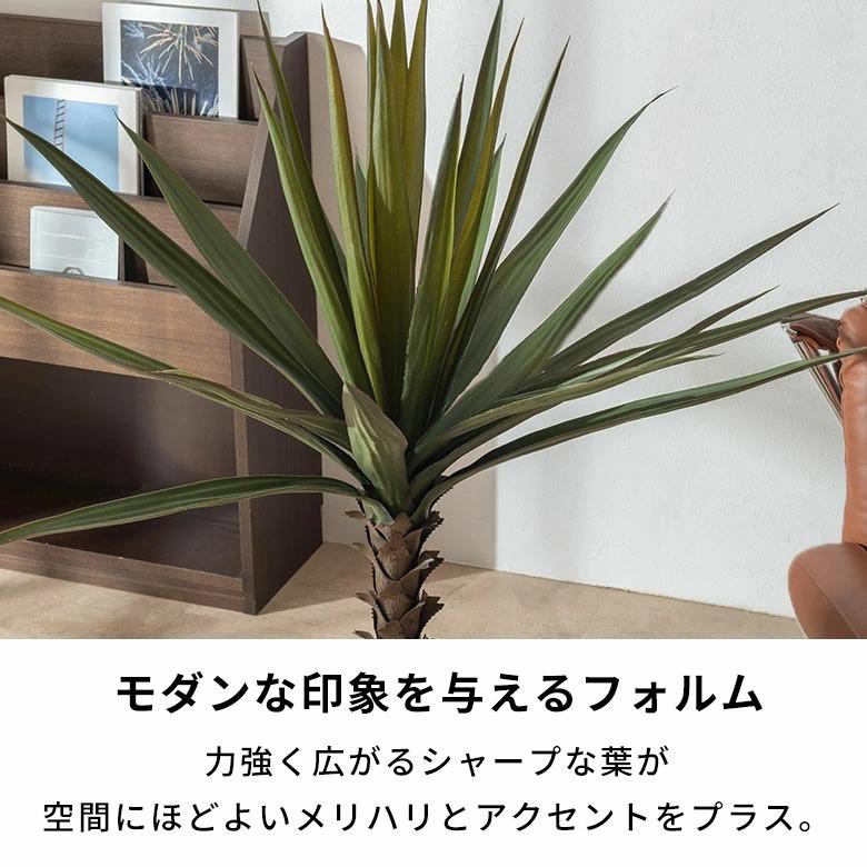 フェイクグリーン アガベ 6号鉢 観葉植物 水やり不要 フェイク おしゃれ 玄関 リビング 室内 屋外 人工植物 120cm 鉢付き インテリア リアル ハクセンコウ 67285 | ブランド登録なし | 05