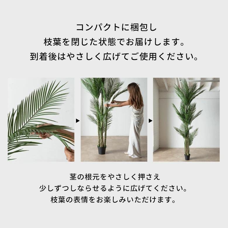 フェイクグリーン ヤシの木 パームツリー 7号鉢 観葉植物 水やり不要 フェイク おしゃれ 大型 玄関 リビング 室内 屋外 人工植物 鉢付き インテリア 6728 | ブランド登録なし | 12