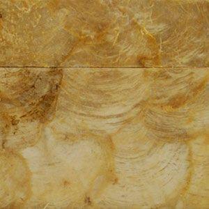 ティッシュケース カピスシェル製ティッシュケース アジア工房 8433 | ブランド登録なし | 03