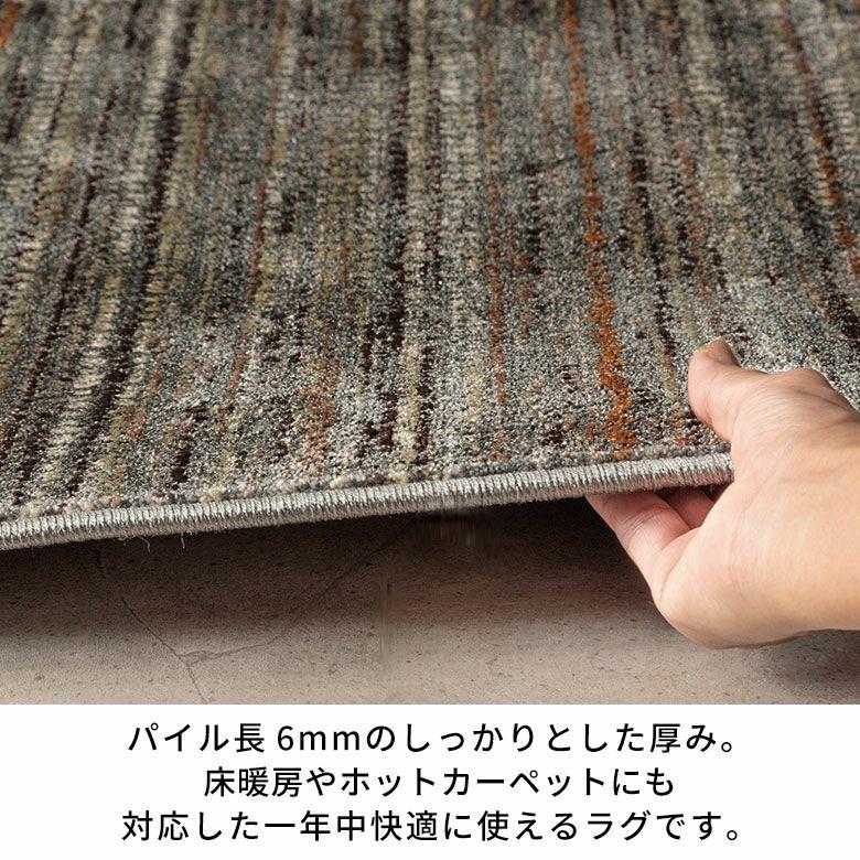 ラグ ウィルトン織 ラグマット ベルギー カーペット 200×250 3畳 薄手 無地 絨毯 安い オールシーズン 夏 おしゃれ 北欧 リゾート インテリア 西海岸 84394 | ブランド登録なし | 10