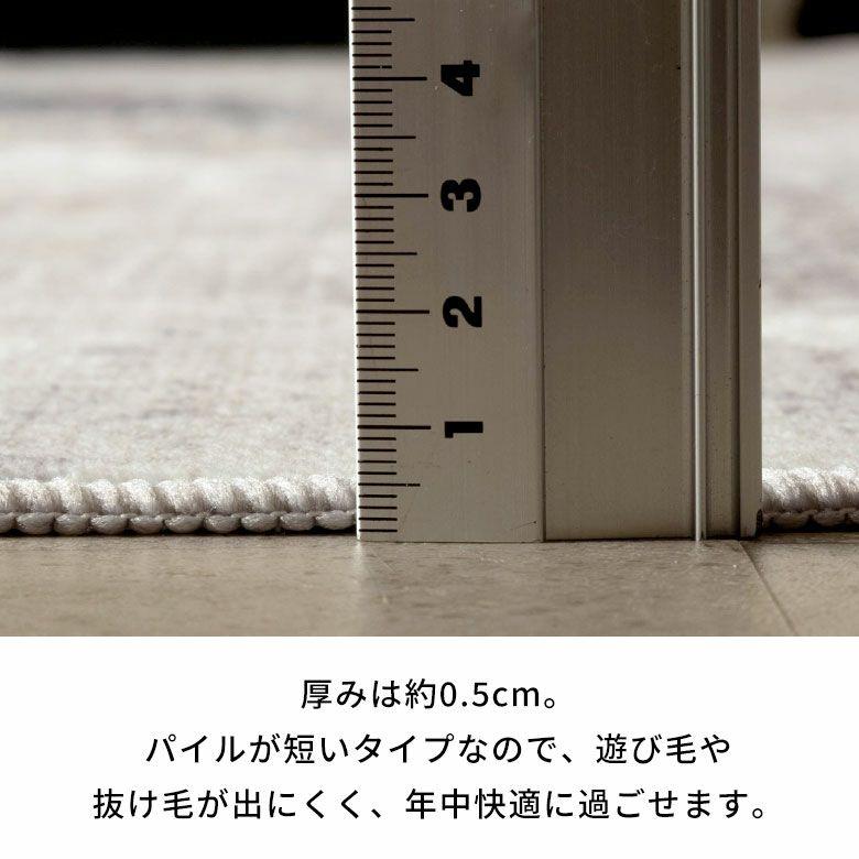 ラグ 洗える 玄関マット Lumiera 50×80 洗濯機 滑り止め オールシーズン 床暖房 ホットカーペット掃除機 おしゃれ モノトーン シンプル 西海岸 84410 | ブランド登録なし | 12