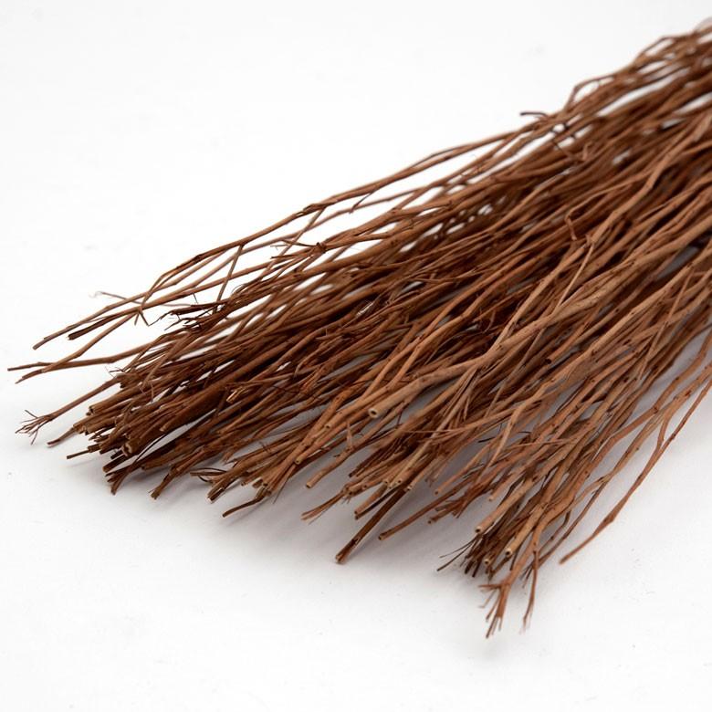 ルームフレグランス リードディフューザー ホワイトレディブランチ 部屋 芳香剤 おしゃれ インテリア スティック プレゼント 90017 | ブランド登録なし | 13