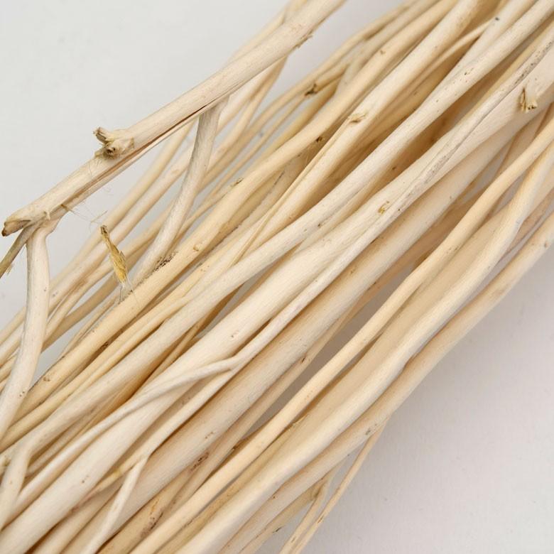 ルームフレグランス リードディフューザー ホワイトレディブランチ 部屋 芳香剤 おしゃれ インテリア スティック プレゼント 90017 | ブランド登録なし | 06