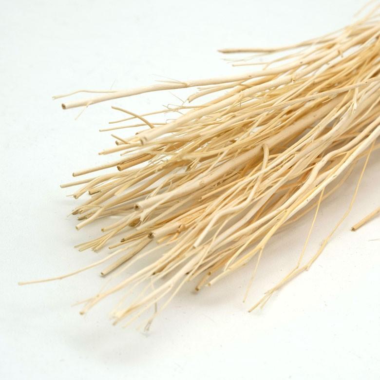 ルームフレグランス リードディフューザー ホワイトレディブランチ 部屋 芳香剤 おしゃれ インテリア スティック プレゼント 90017 | ブランド登録なし | 11