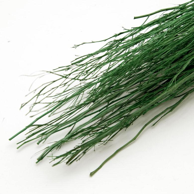 ルームフレグランス リードディフューザー ホワイトレディブランチ 部屋 芳香剤 おしゃれ インテリア スティック プレゼント 90017 | ブランド登録なし | 12