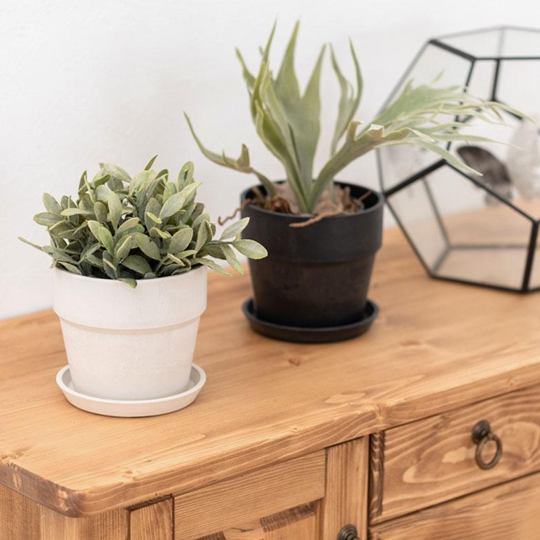 植木鉢 プランツポット 4号鉢 プラスチック 無地 受け皿付き 底