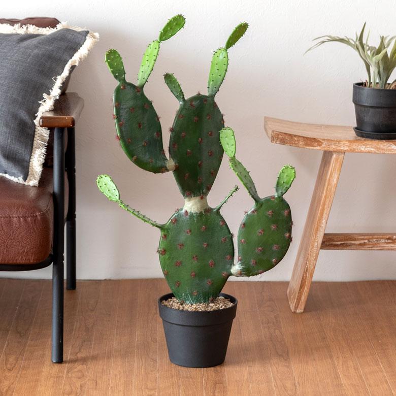 フェイクグリーン 造花 サボテン 鉢植え ６号鉢 H72cm グリーン カクタス ６号 インテリアグリーン 多肉植物 ウチワサボテン Elements 通販 Yahoo ショッピング