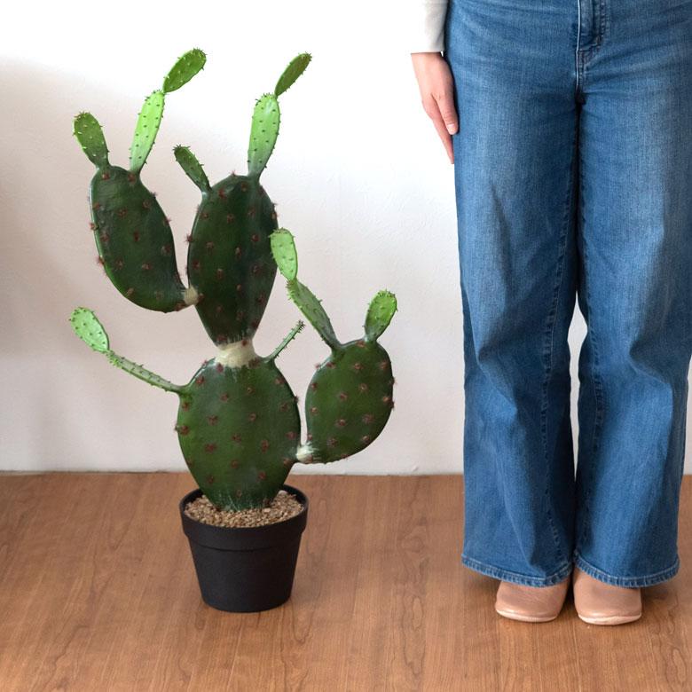 フェイクグリーン 造花 サボテン 鉢植え 6号鉢 H72cm グリーン