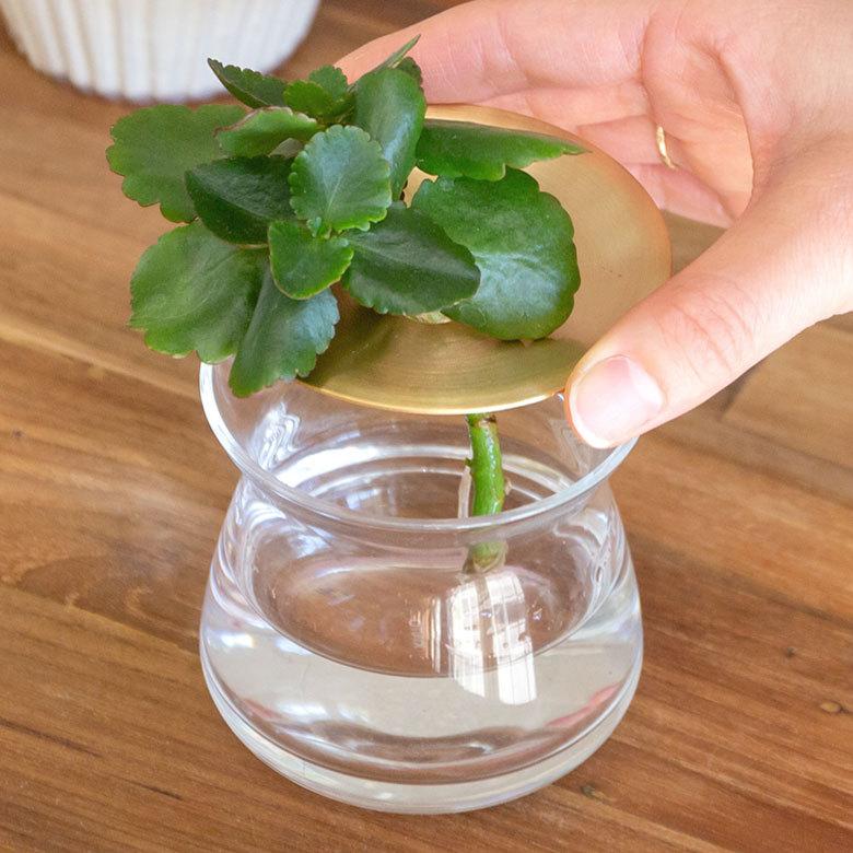 フラワーベース 一輪挿し ガラス 真鍮 クリア ブラウン 花瓶 170ml 水耕栽培 インテリア ブラウン おしゃれ 90389 | ブランド登録なし | 10