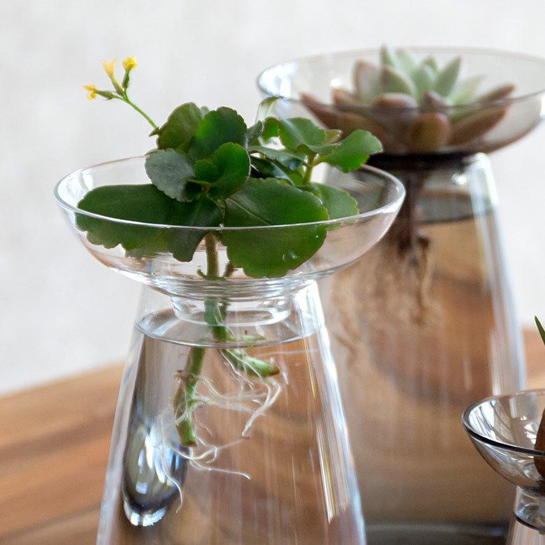 フラワーベース 一輪挿し ガラス 真鍮 クリア グレー 花瓶 830ml 水耕栽培 インテリア お手入れ簡単 おしゃれ 90392 | ブランド登録なし | 14