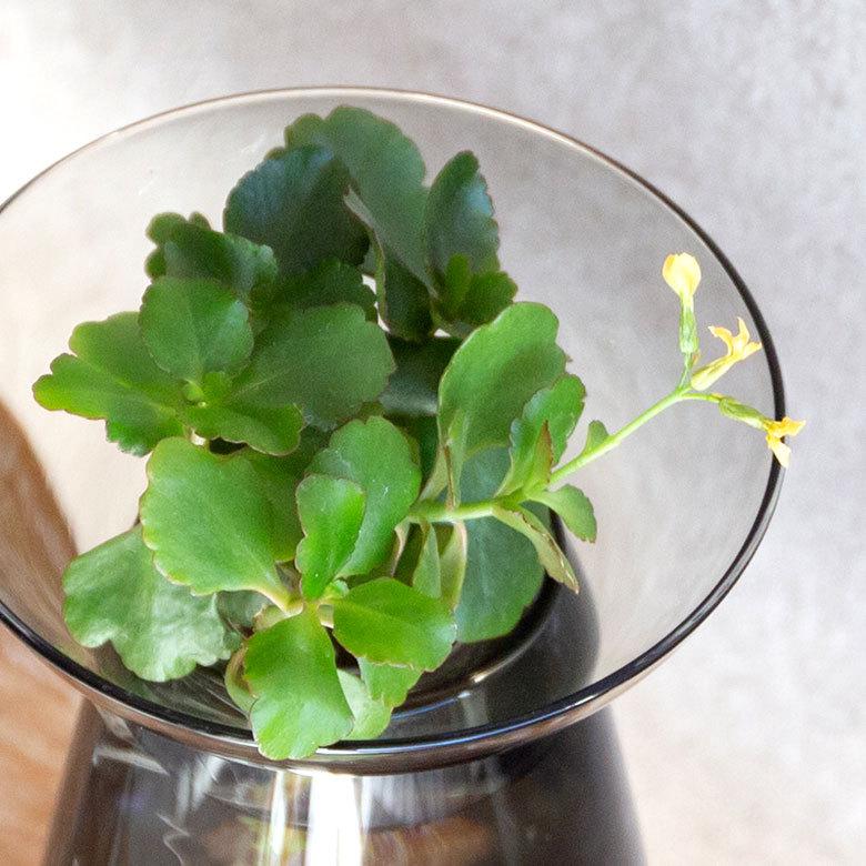 フラワーベース 一輪挿し ガラス 真鍮 クリア グレー 花瓶 830ml 水耕栽培 インテリア お手入れ簡単 おしゃれ 90392 | ブランド登録なし | 04