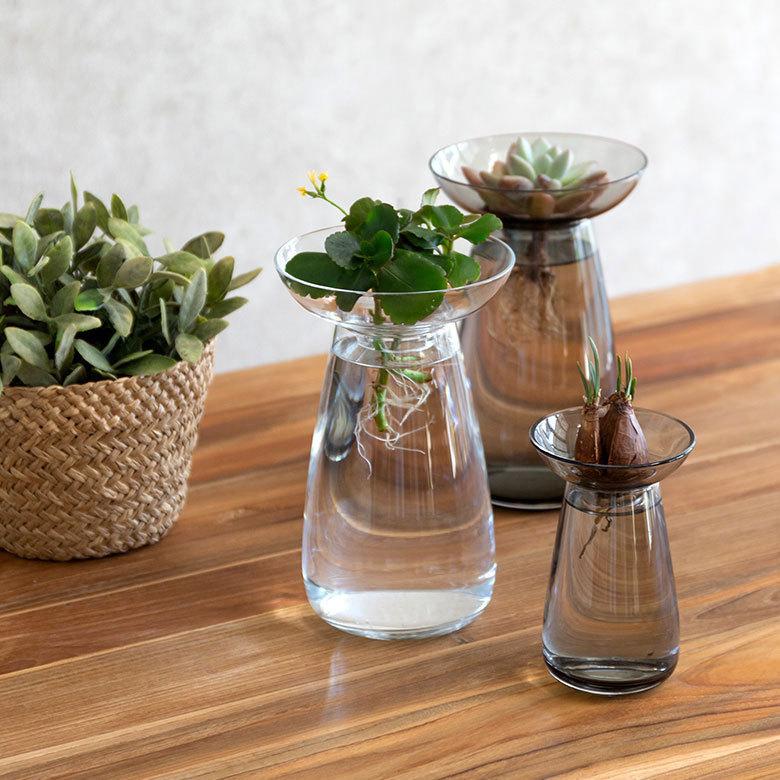 フラワーベース 一輪挿し ガラス 真鍮 クリア グレー 花瓶 830ml 水耕栽培 インテリア お手入れ簡単 おしゃれ 90392 | ブランド登録なし | 06