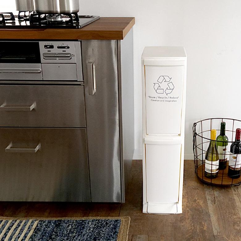 ゴミ箱 ダストボックス 分別 2段 20L おしゃれ ごみ スリム フラ付き 蓋 ペダル シンプル くずかご コンパクト 細い 91060 | ブランド登録なし | 01