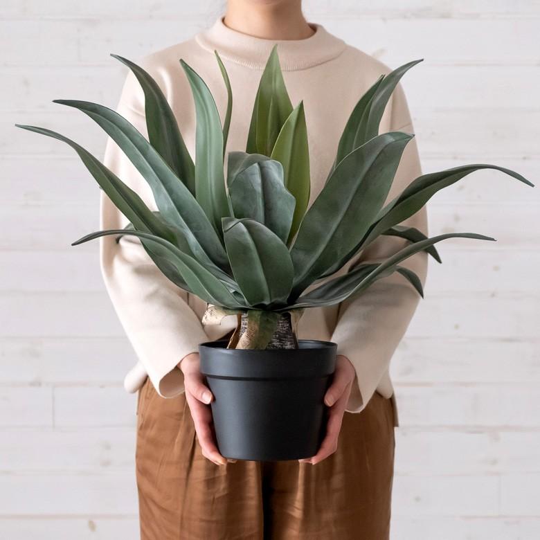 フェイクグリーン フェイクプランツ アガペ 観葉植物 インテリアグリーン リュウゼツラン アートプランツ インテリア ガーデニング 91471 | ブランド登録なし | 14