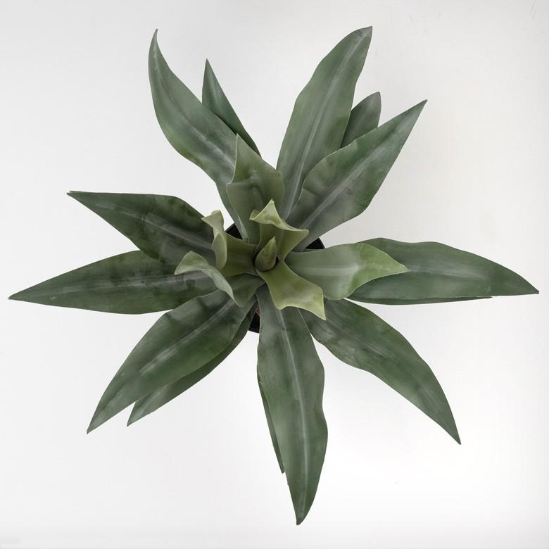 フェイクグリーン フェイクプランツ アガペ 観葉植物 インテリアグリーン リュウゼツラン アートプランツ インテリア ガーデニング 91471 | ブランド登録なし | 20