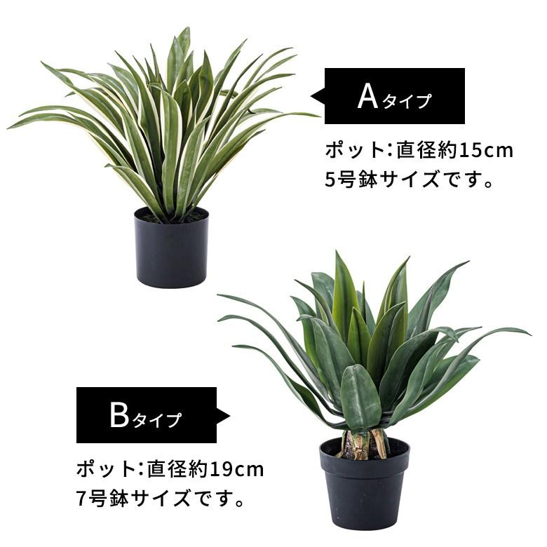 フェイクグリーン フェイクプランツ アガペ 観葉植物 インテリアグリーン リュウゼツラン アートプランツ インテリア ガーデニング 91471 | ブランド登録なし | 07