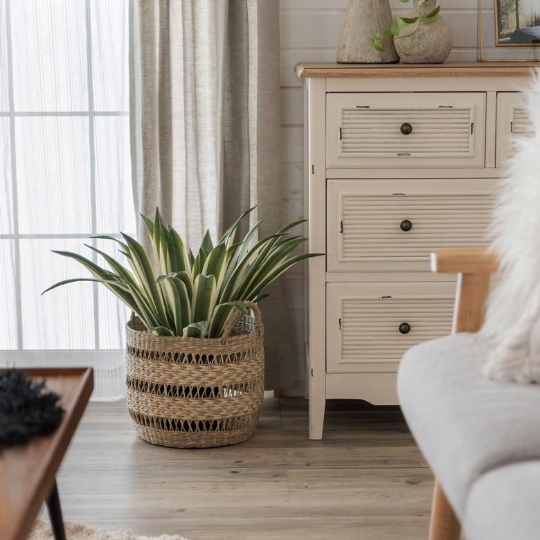 フェイクグリーン フェイクプランツ アガペ 観葉植物 インテリアグリーン リュウゼツラン アートプランツ インテリア ガーデニング 91471 | ブランド登録なし | 08