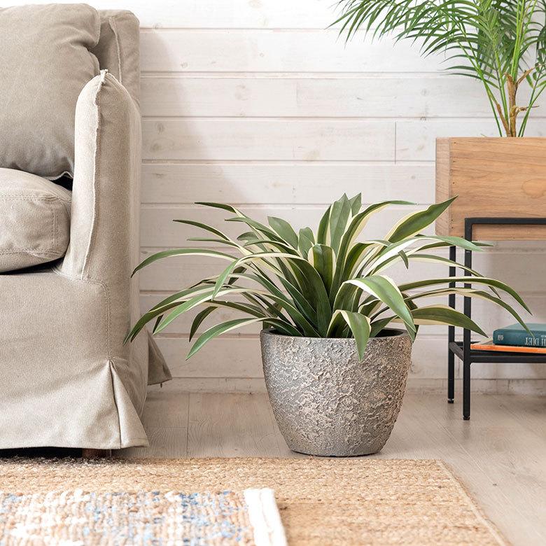 プランター ストーン風 直径約25cm 高さ約20cm グレー 酸化マグネシウム 鉢 植木鉢 底穴付き 6号 7号 北欧 おしゃれ スタイリッシュ 91505 | ブランド登録なし | 15